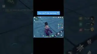 GENSHIN IMPACT 