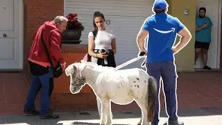 THE WORST AMAZON DELIVERY DRIVER [Hidden Camera]