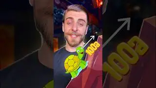 რამდენ დღეში ავა კუ კლდეზე? 🐢