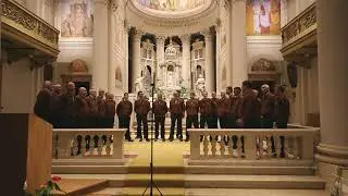 Col ceston - CORO SAT