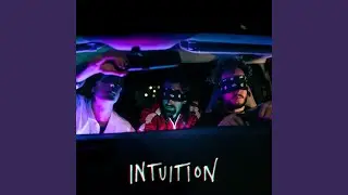 Intuition