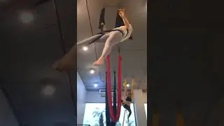 Aerial hammock on 19 Aug 2024 part 3