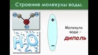 Талая вода для комнатных растений