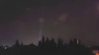 cvetlicarna luci