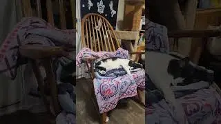 Sleepy Riley