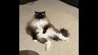 вспомним этот мир...