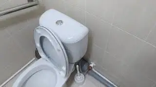 Музыкальный поющий унитаз