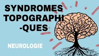 NEUROLOGIE : SYNDROMES TOPOGRAPHIQUES 🌟