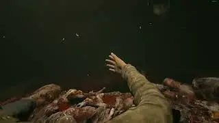 Outlast no camera, insane mode, no glitches, no beds, no lockers