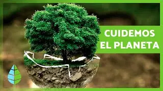 ¿Cómo podemos AYUDAR al MEDIO AMBIENTE? 🌍💚 7 Consejos para Cuidar el Planeta