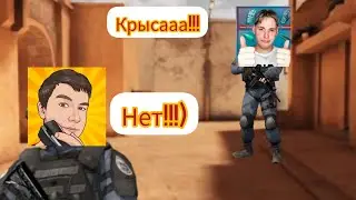 унизил стримера |бедный BAZ LAITER😂😂😂😂😂😂