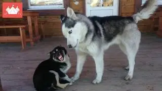 День 5.  Хужир-Харанцы