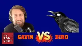 Gavin vs The Bird - Ep. 