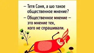 О нас девочках - с юмором 🧚