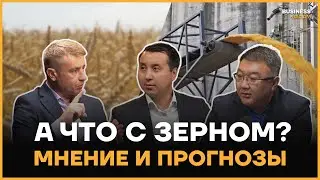 Как Казахстан справляется с урожаем? Вызовы для фермеров и государства