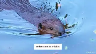 Together we can be a force for nature