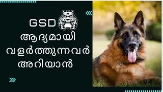 German shepherds good for first time dog owners : Malayalam : first time dog owner guide