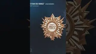 Медаль 2022 🥉