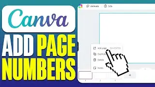 How To Add Page Numbers in Canva (2024)