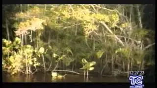 Expertos afirman que habrá mínimo daño ecológico en explotación del Yasuni ITT