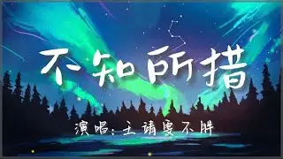 王靖雯不胖-不知所措『最灿烂的烟火总是先坠落，越是暖的经过反而越折磨。』🎵【动态歌词Lyrics video】#超好听 #music #lyrics #pinyin