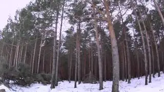 Efectos temporal Guardo (Palencia) Febrero 2015