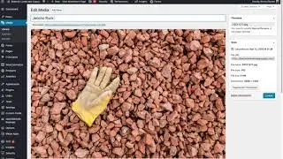Optimizing Filenames of Images on WordPress | NeONBRAND