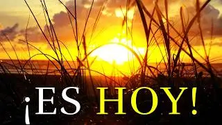 Today Is Your Day To Be Happy ¦ Reflection, gratefulness, motivational