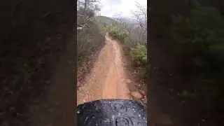 CRASH in FINAL RUN