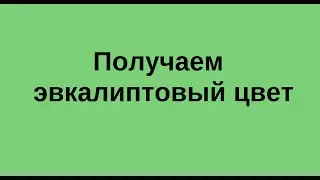 Эвкалиптовый цвет - как смешать. Екатерина Борисова