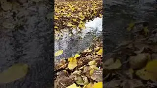 Мой ребёнок не такой !!!