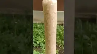 КОВБАСА ДОМАШНЯ КУРЯЧА КОПЧЕНА