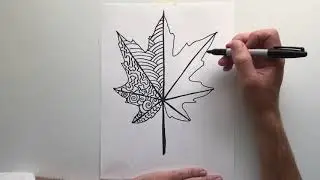 Organic Line Leaf Demonstration
