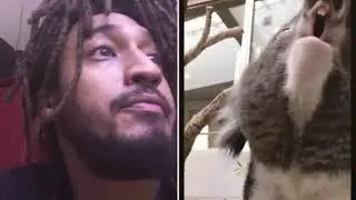 GROSS ANIMALS {PatGeo Compilation}