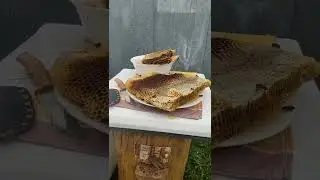 САМЫЙ ДОСТУПНЫЙ МЁД И САМЫЙ ВКУСНЫЙ. КОЛОДНОЕ ПЧЕЛОВОДСТВО ⬇️⬇️⬇️