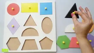 Shapes Cognitive Toy