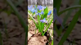 ох, вот так чудо! 