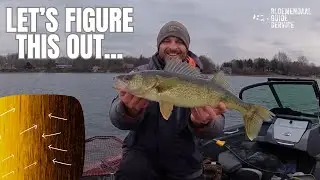 Learning a Large Walleye Lake - Fall on Mille Lacs