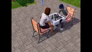 after chess times comes book life