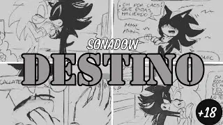 DESTINO~❤️ Cómic Sonadow~⚠️~NS∆W~⚠️
