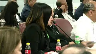 Cassandra Li Ong faces the House quad committee