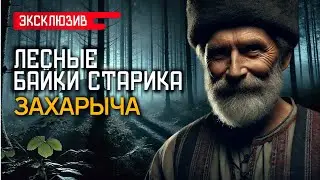 ЛЕСНЫЕ БАЙКИ СТАРИКА ЗАХАРЫЧА - Лесные и Деревенские Истории На Ночь