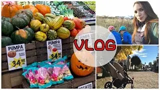 VLOG Швеция 🇸🇪 Первое впечатление I Продуктовый магазин I ЦЕНЫ