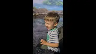 гуляю с сыном ВДНХ