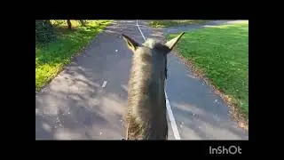 rondje twiske gedaan
