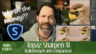 Topaz Sharpen AI - Compare Modes - Worth the $$$ ?