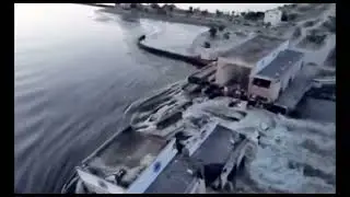 Все, что с нами случилось, мой старый песТняк, более 30 лет назад