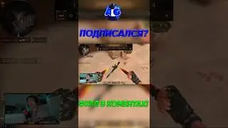 ЗАСТАВИЛ РАЗДЕТЬСЯ АГРО СТРИМЕРА 