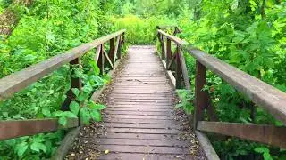 Успей сделать это до 17 сентября!