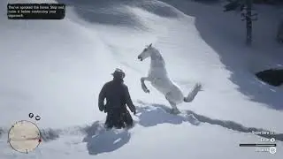 Finding rare white Arabian Horse near Isabella lake - Best horse - Red dead Redemption 2